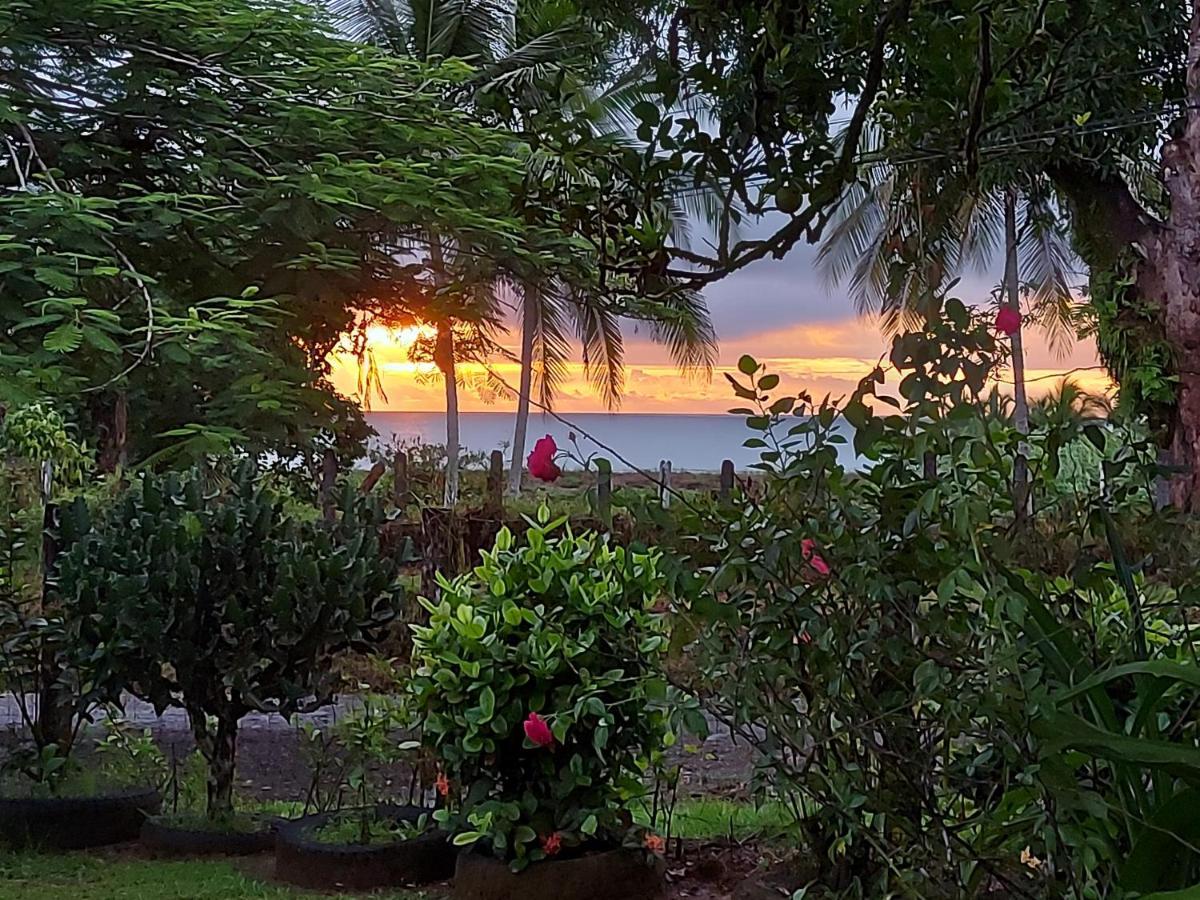 Hotel Gitana Corcovado, Y Tour Operador Дрейк Екстер'єр фото
