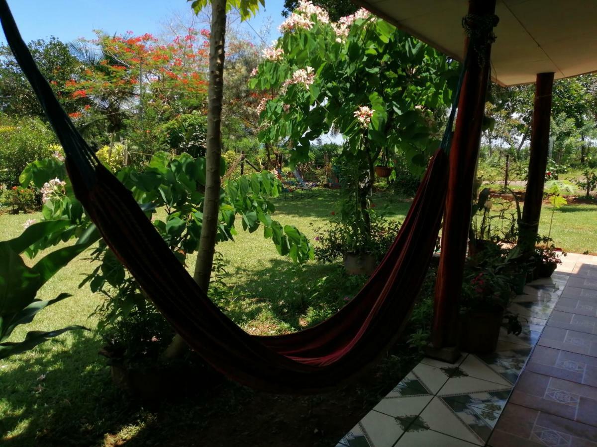 Hotel Gitana Corcovado, Y Tour Operador Дрейк Екстер'єр фото